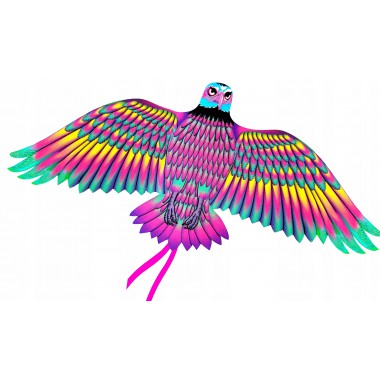 Latawiec w kształcie ptaka kolor