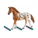 SCHLEICH Figurka Zestaw treningowy Koni Appaloosa