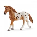 SCHLEICH Figurka Zestaw treningowy Koni Appaloosa