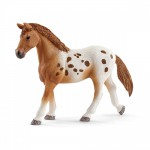SCHLEICH Figurka Zestaw treningowy Koni Appaloosa SCHLEICH Figurka Zestaw treningowy Koni Appaloosa