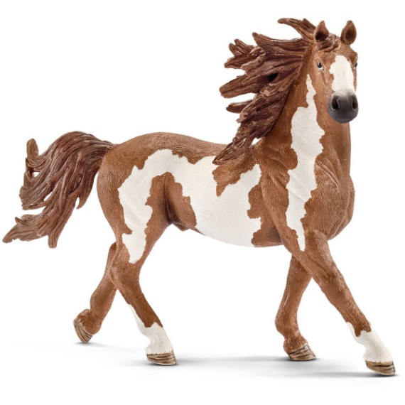 SCHLEICH Pinto ogier SLH-13794