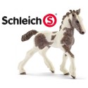 SCHLEICH Tinker źrebię SLH-13774