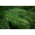 Choinka Sztuczna Świerk Naturalny 220cm Choinka Sztuczna Świerk Naturalny 220cm