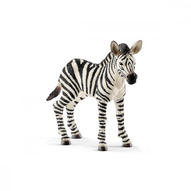 Schleich Zebra. źrebię