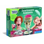 Clementoni Zestaw edukacyjny Anatomia
