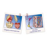 Clementoni Ciało ludzkie mini Clementoni Ciało ludzkie mini
