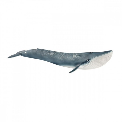 Schleich Płetwal błękitny Schleich Płetwal błękitny