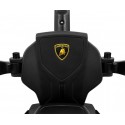 COIL Jeździk pchacz chodzik 3W1 Lamborghini Essenza V12 zielony