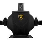 COIL Jeździk pchacz chodzik 3W1 Lamborghini Essenza V12 zielony COIL Jeździk pchacz chodzik 3W1 Lamborghini Essenza V12 zielony