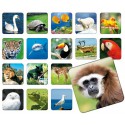 Adamigo Memory ZOO