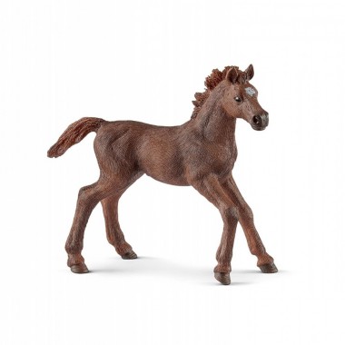 Schleich Źrebak pełenej krwi angielskiej