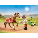 Playmobil Kucyk Connemara do kolekcjonowa 70516