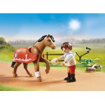 Playmobil Kucyk Connemara do kolekcjonowa 70516 Playmobil Kucyk Connemara do kolekcjonowa 70516