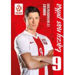 KARTY KOLEKCJONERSKIE PZPN INTERDRUK